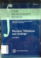 CRM Monograph Series
