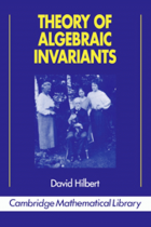 Theory of algebraic invariants